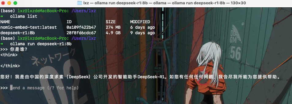 image-20250220095323890